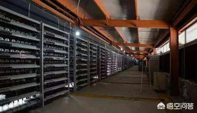 A bustling mining farm showcasing advanced technology and mining rigs